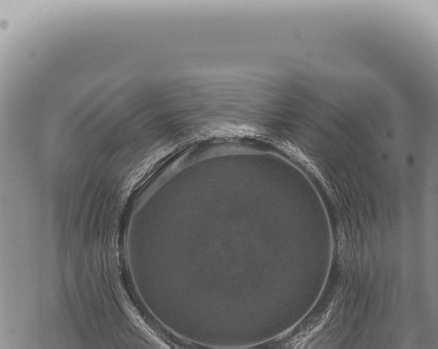 X0000068840581200605121409