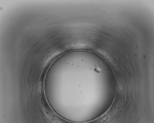 X0000068840583200605121409