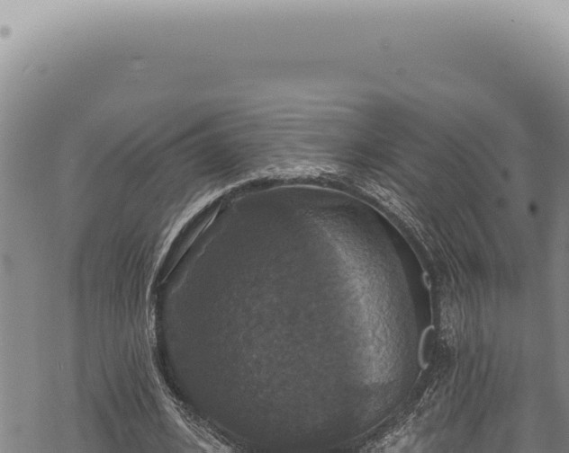 X0000068840584200605121409