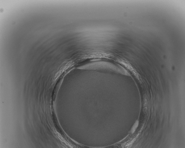 X0000068840585200605121409