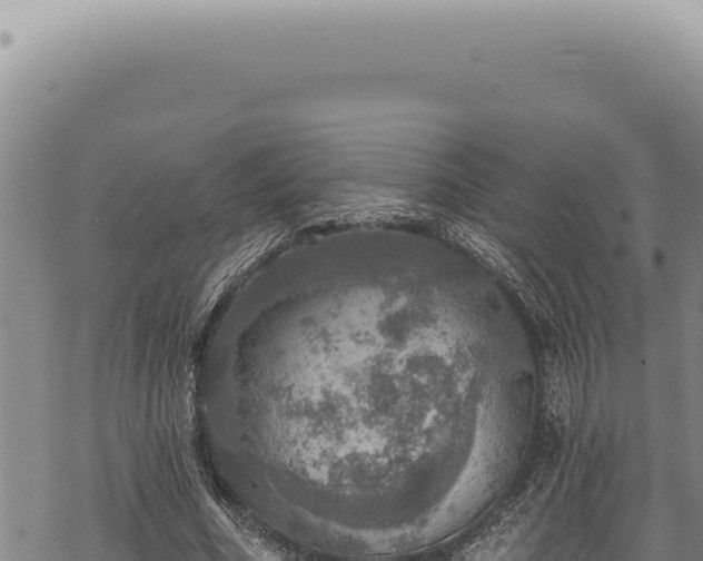 X0000068840586200605121409