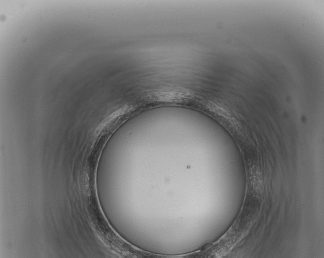 X0000068840587200605121409