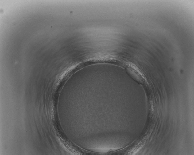 X0000068840588200605121409