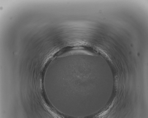 X0000068840589200605121409