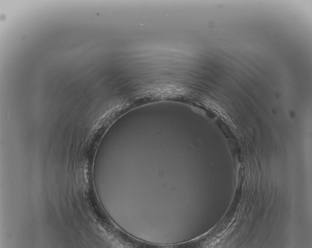 X0000068840590200605121409