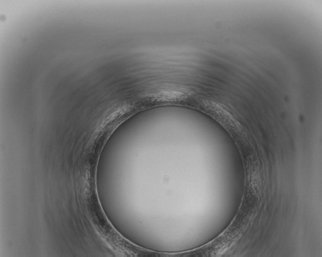 X0000068840591200605121409