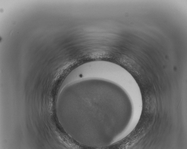 X0000068840592200605121409