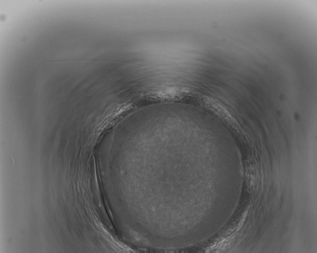 X0000068840593200605121409