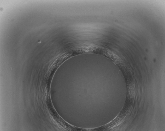 X0000068840594200605121409