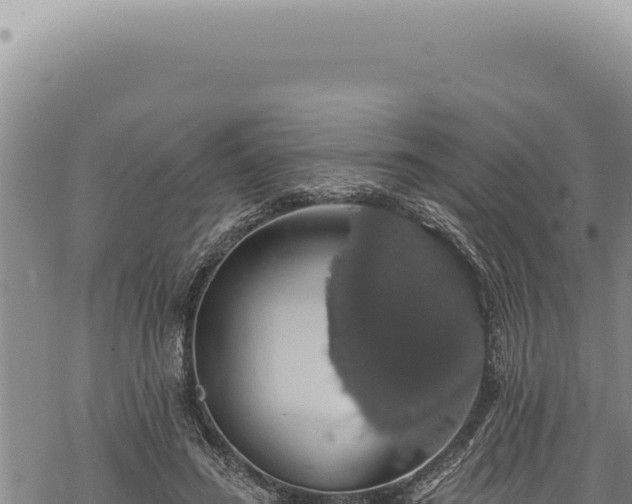 X0000068840596200605121408