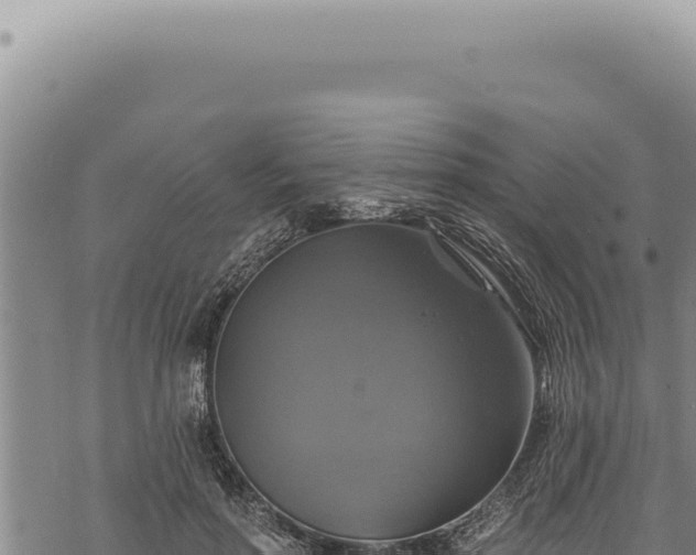 X0000068840598200605121408