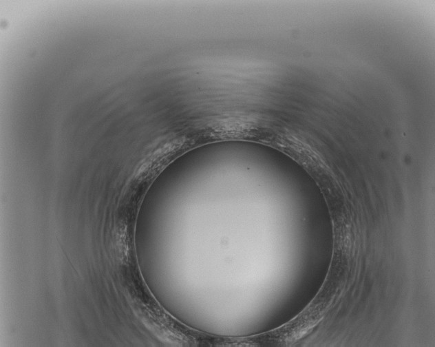 X0000068840599200605121408