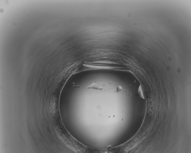 X0000068840600200605121408