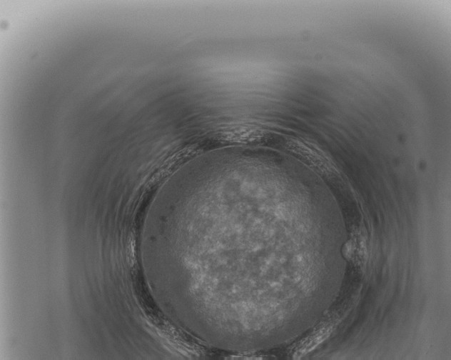 X0000068840602200605121408