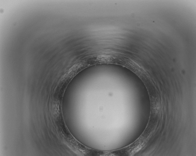 X0000068840603200605121408