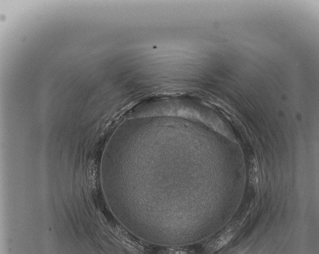 X0000068840604200605121408