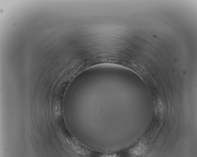 X0000068840606200605121408