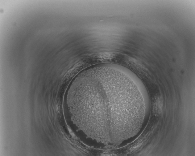 X0000068840608200605121408