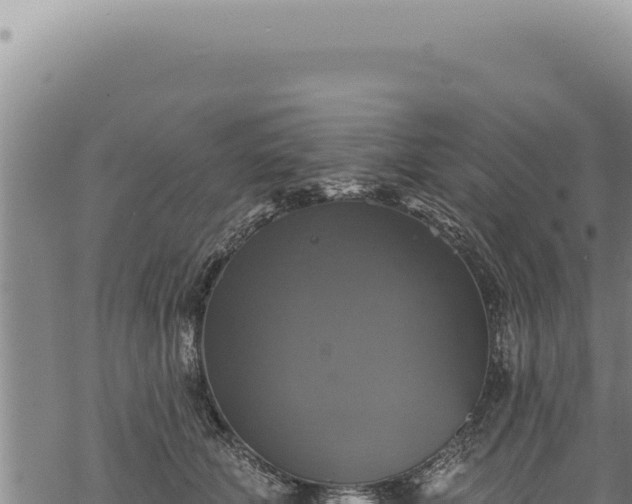 X0000068840610200605121408