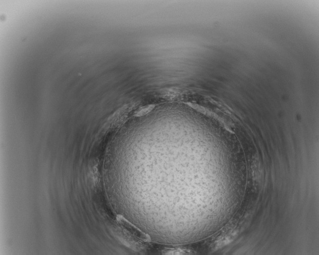 X0000068840611200605121408