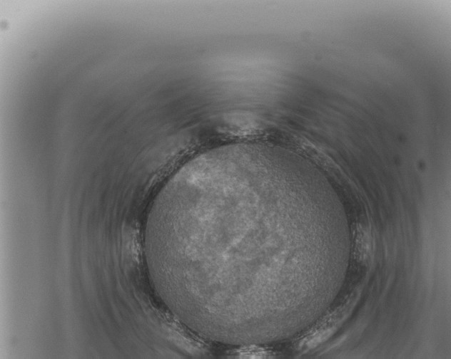 X0000068840612200605121408