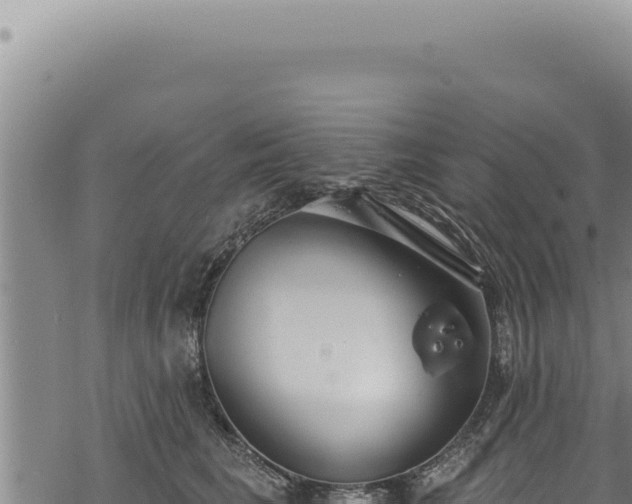 X0000068840613200605121408