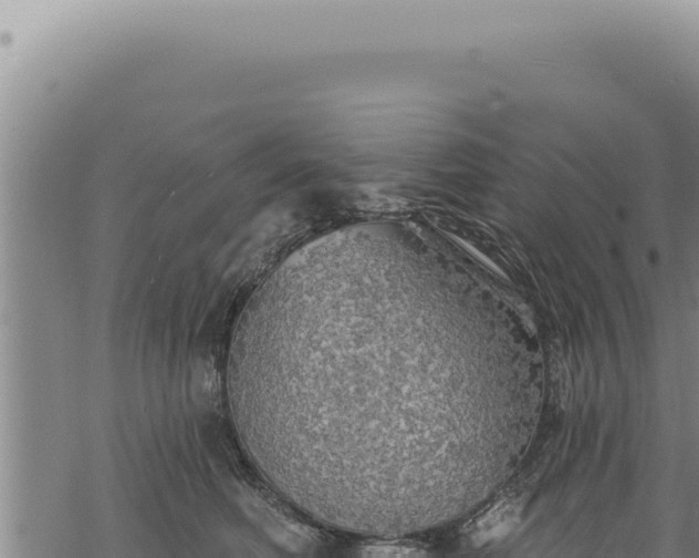 X0000068840614200605121408