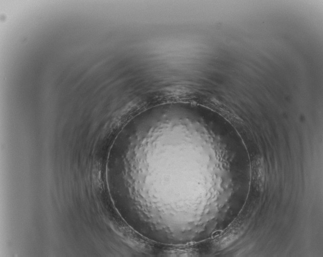 X0000068840615200605121408