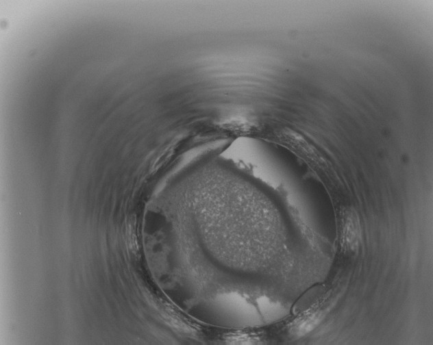 X0000068840616200605121408