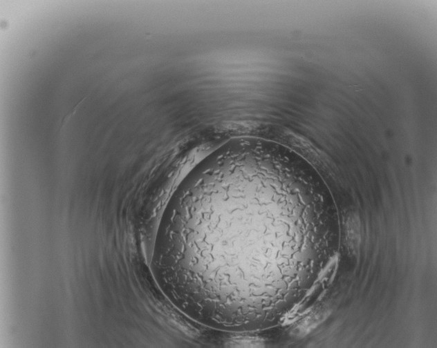 X0000068840617200605121408