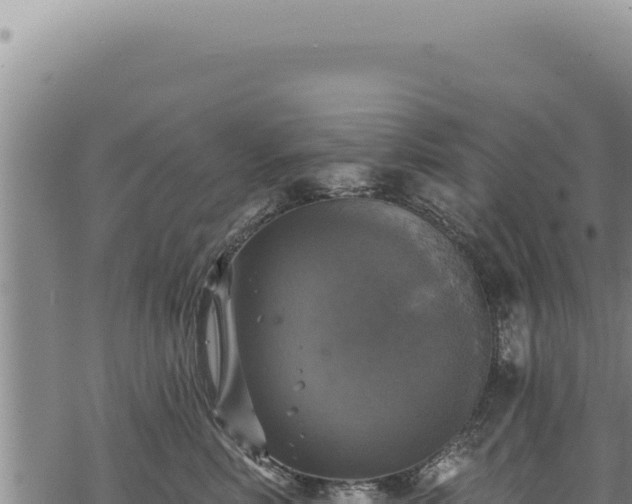 X0000068840618200605121408