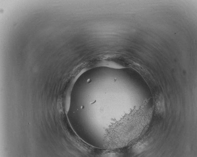 X0000068840620200605121408