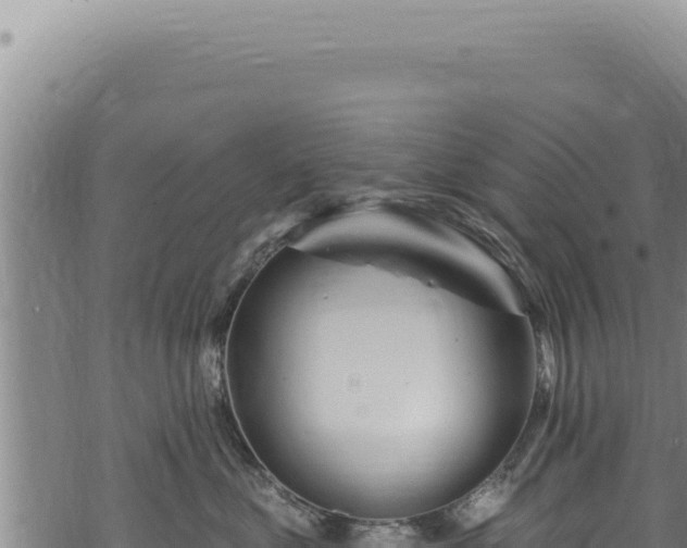 X0000068840621200605121408