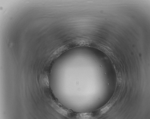 X0000068840622200605121408