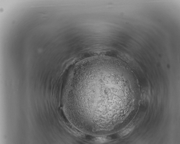 X0000068840623200605121408