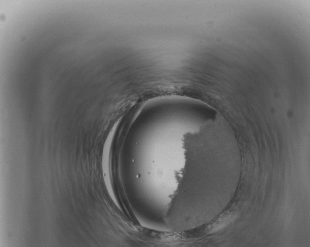 X0000068840624200605121408