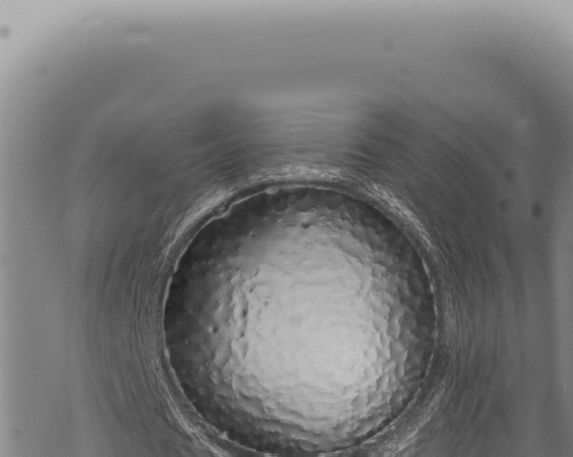 X0000068840625200605121407