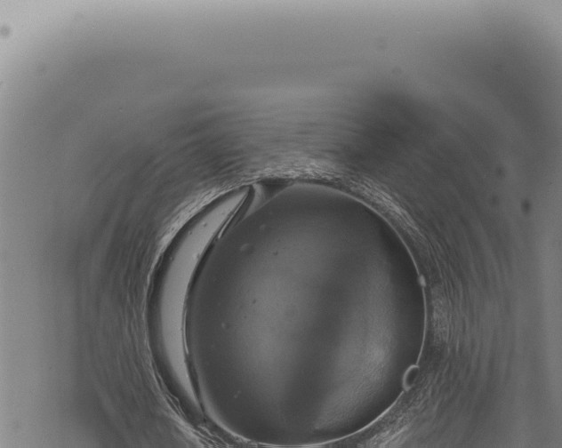 X0000068840626200605121407