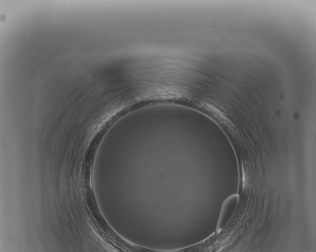 X0000068840627200605121407