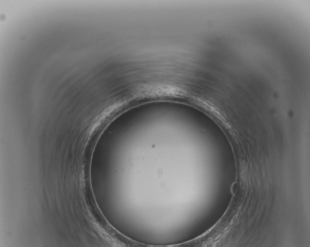 X0000068840629200605121407