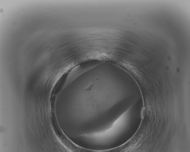 X0000068840630200605121407