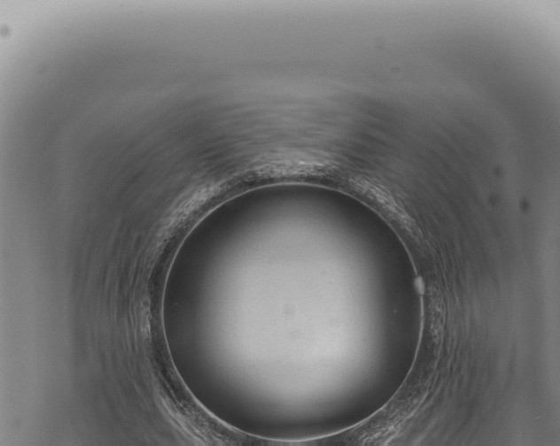 X0000068840631200605121407