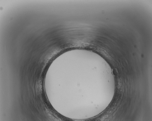 X0000068840632200605121407