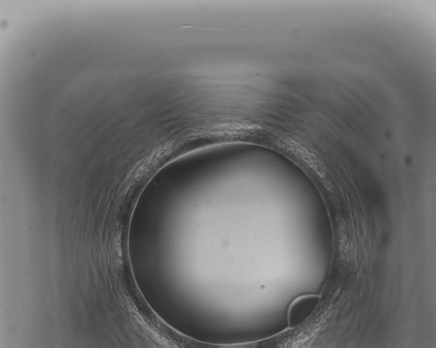 X0000068840633200605121407