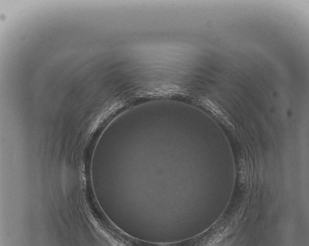 X0000068840634200605121407