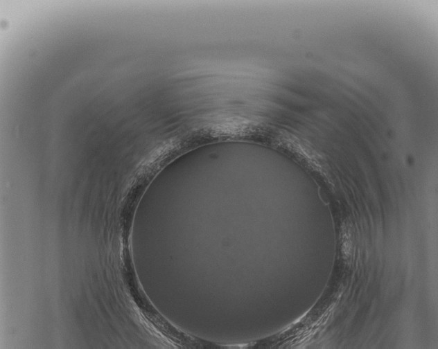 X0000068840637200605121407