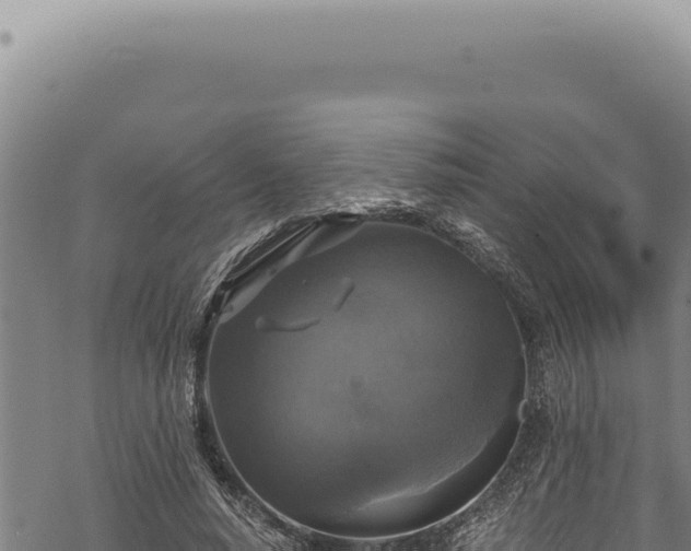 X0000068840640200605121407