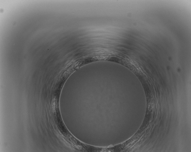 X0000068840647200605121408