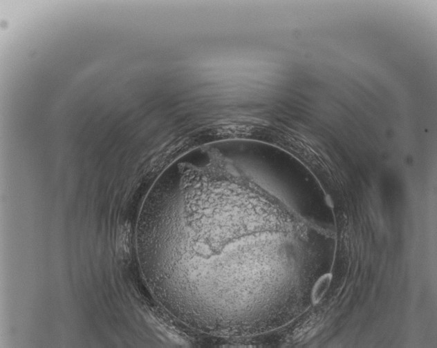 X0000068840649200605121408