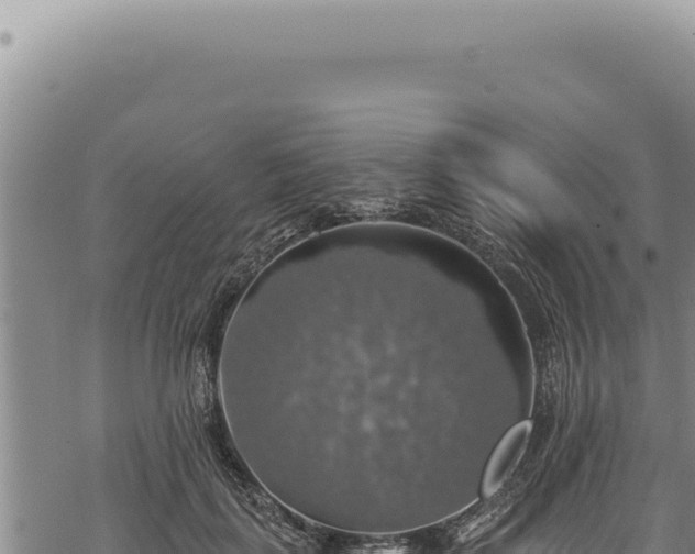 X0000068840651200605121408